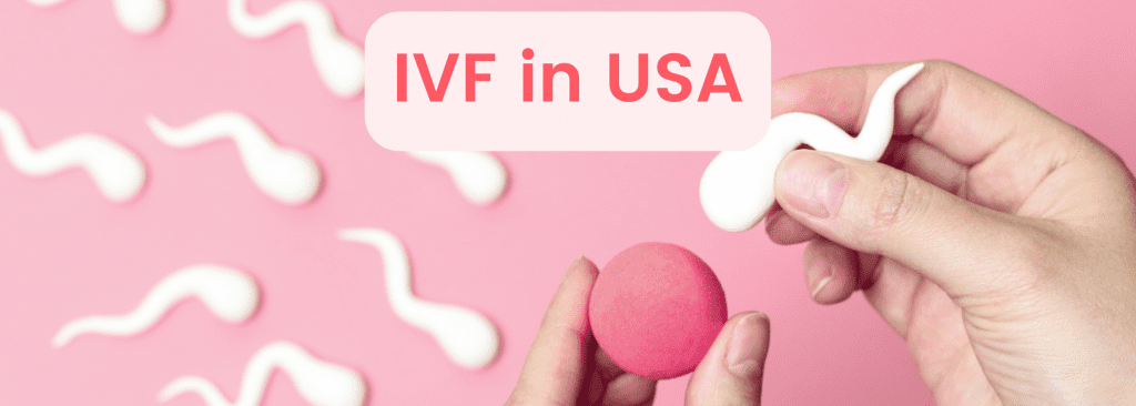 IVF in USA