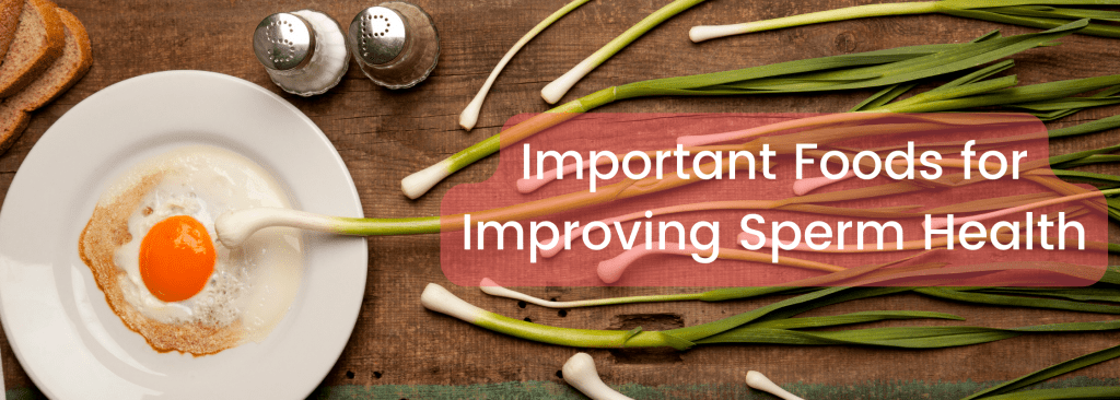 Important Foods for Improving Sperm Health