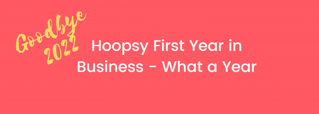goodbye 2022 - Hoopsy first year in business blog post